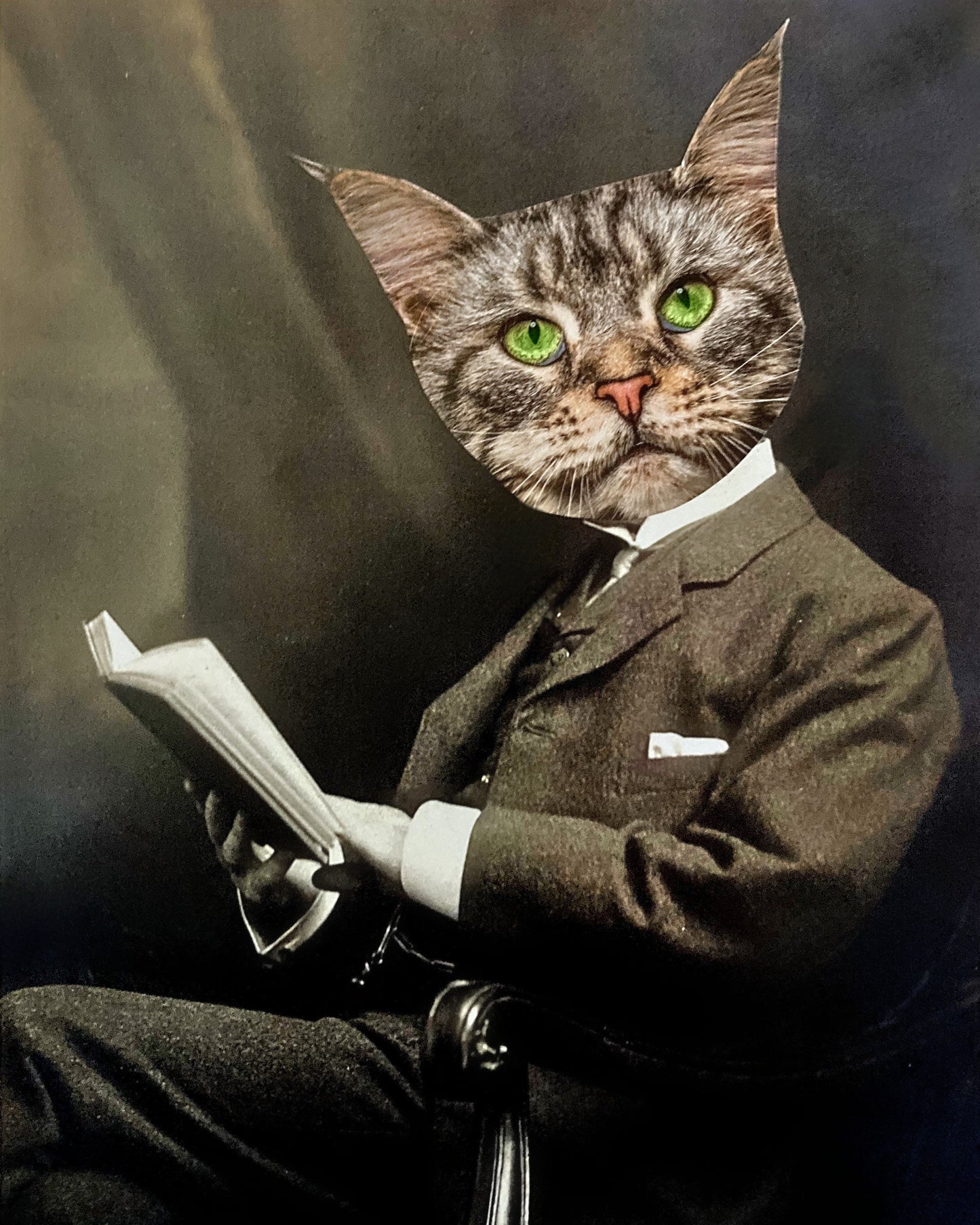 "Mr. Howard Meowser Reads a Book" Art Print