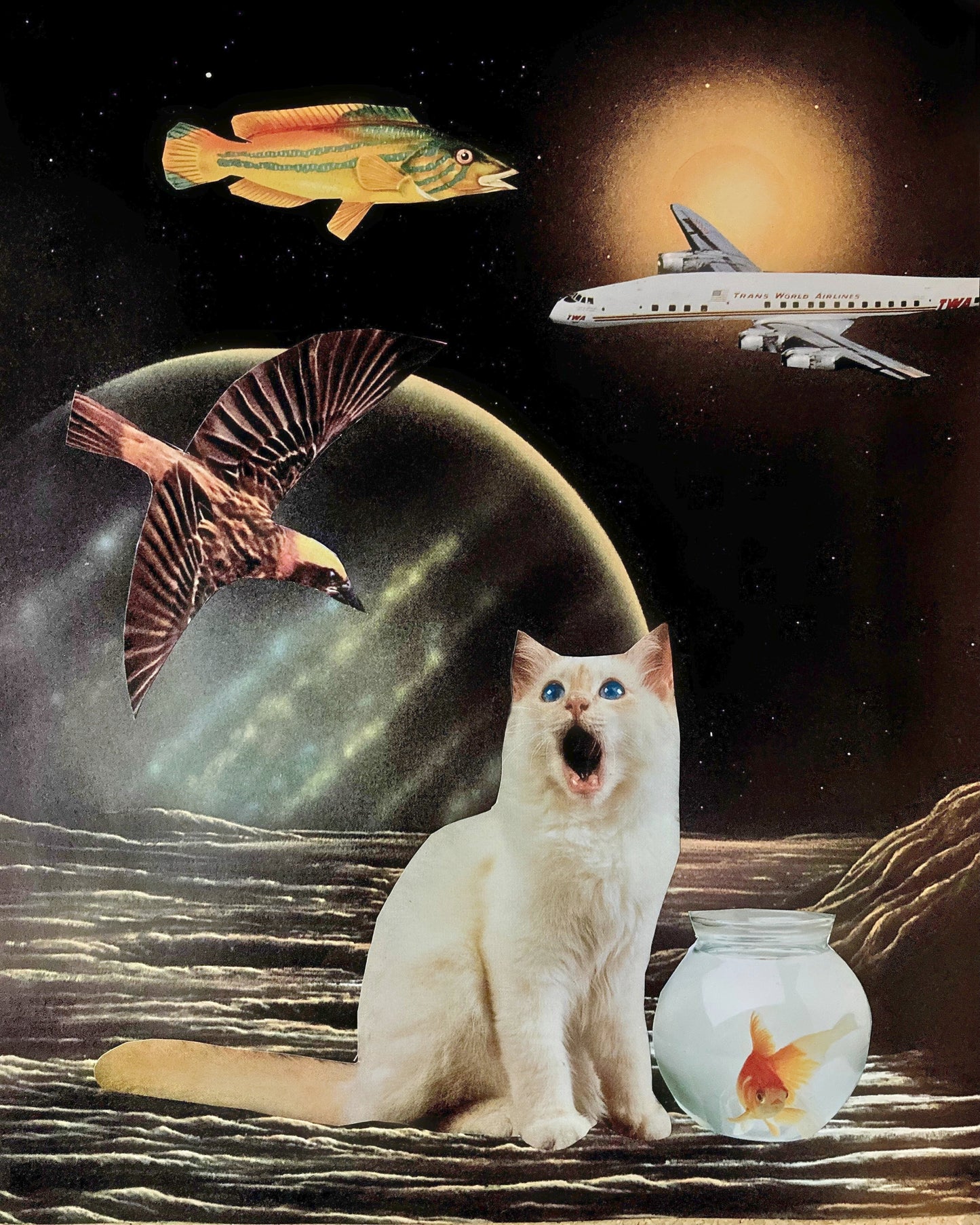 "A Strange New World" Art Print