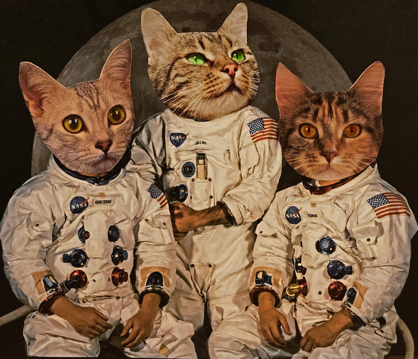 "Castronauts" Art Print