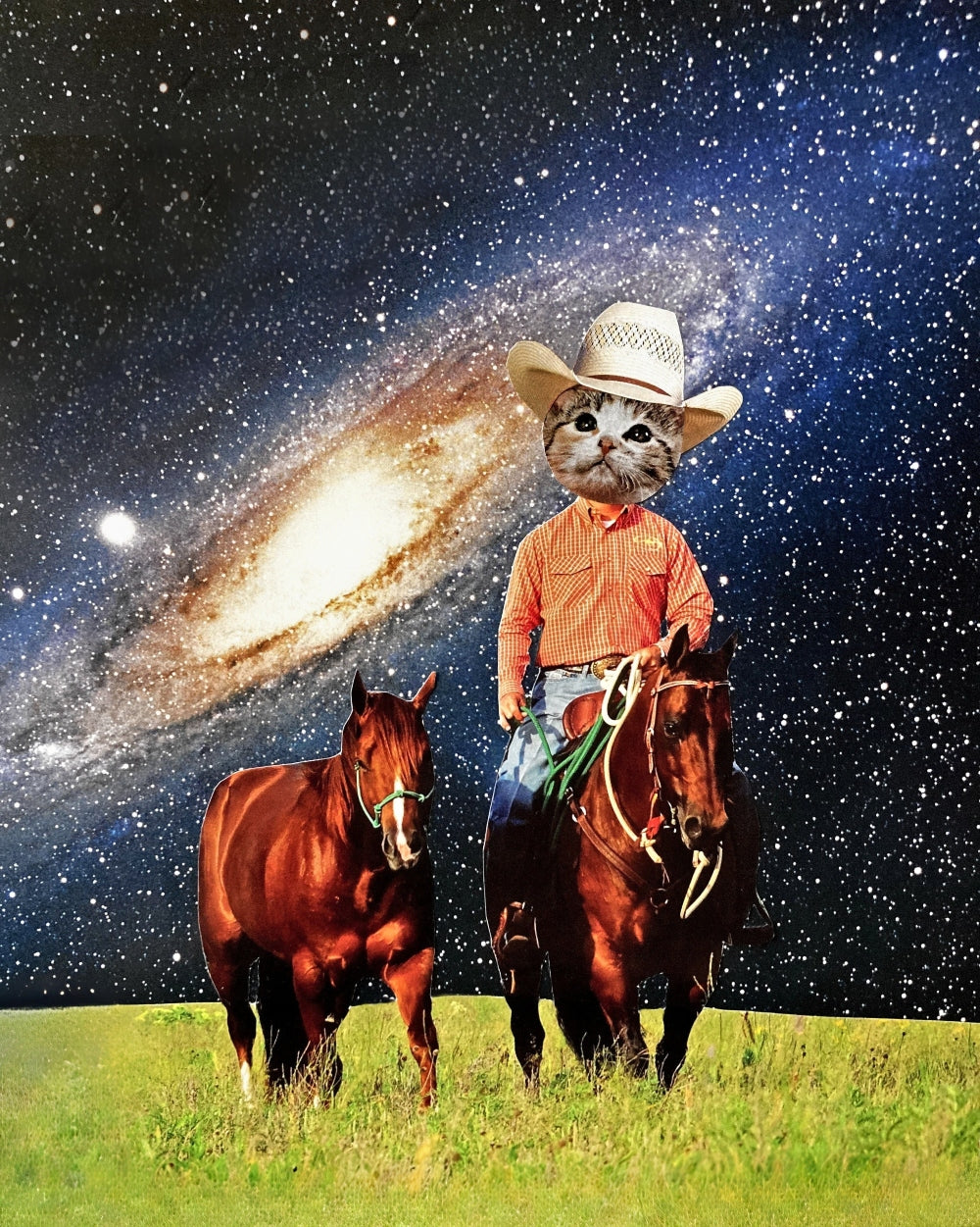"Carl the Cosmic Cowboy" Art Print