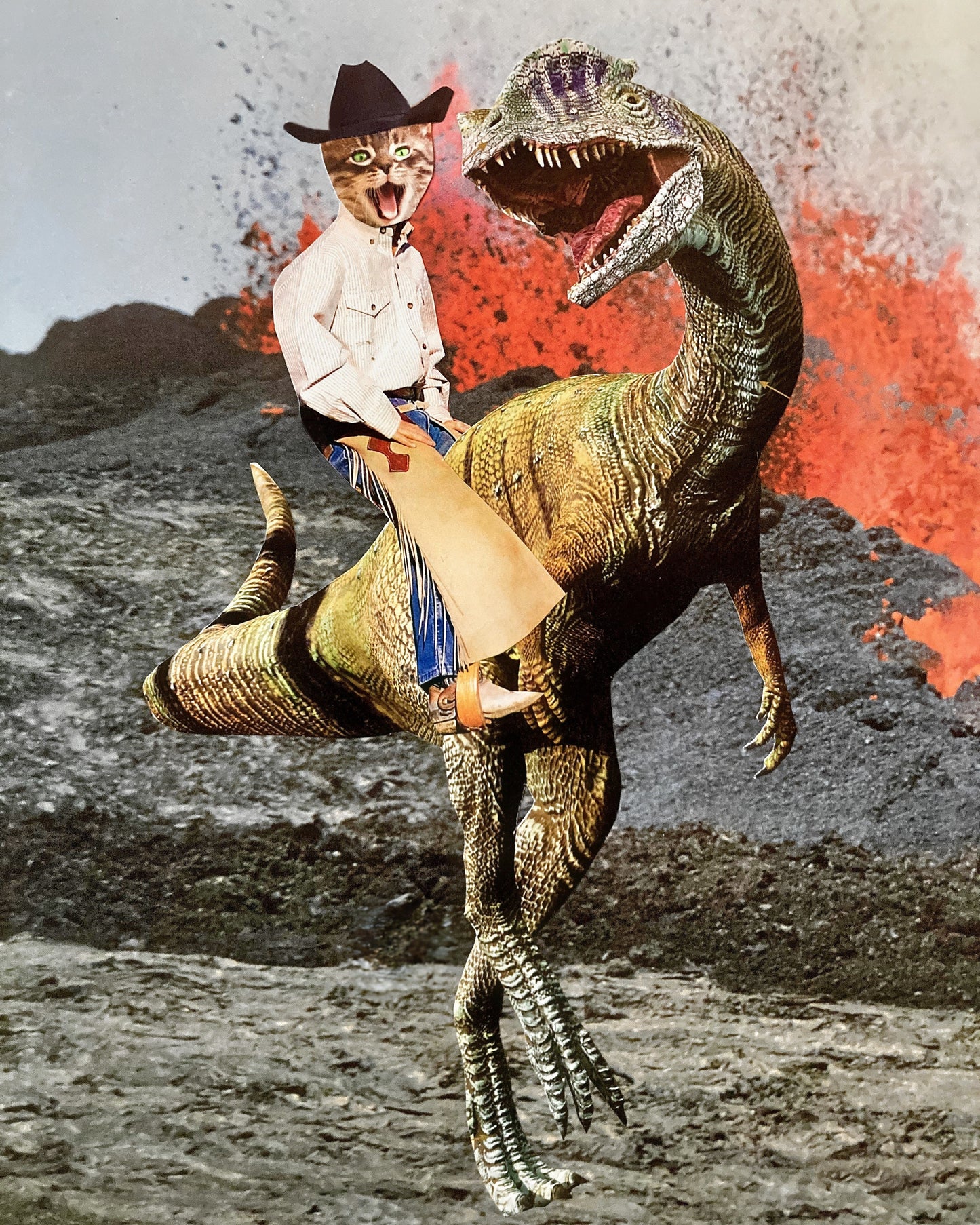 "Ride 'Em, Cowboy" Art Print