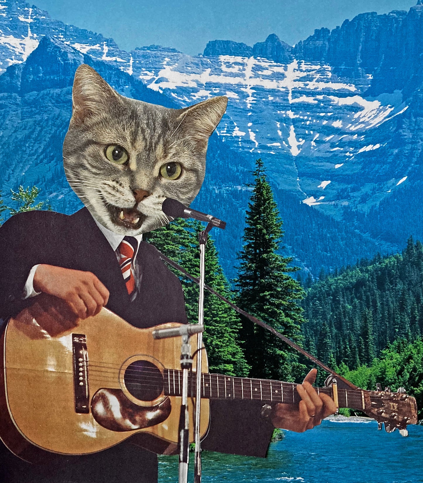 "Cat Denver" Art Print