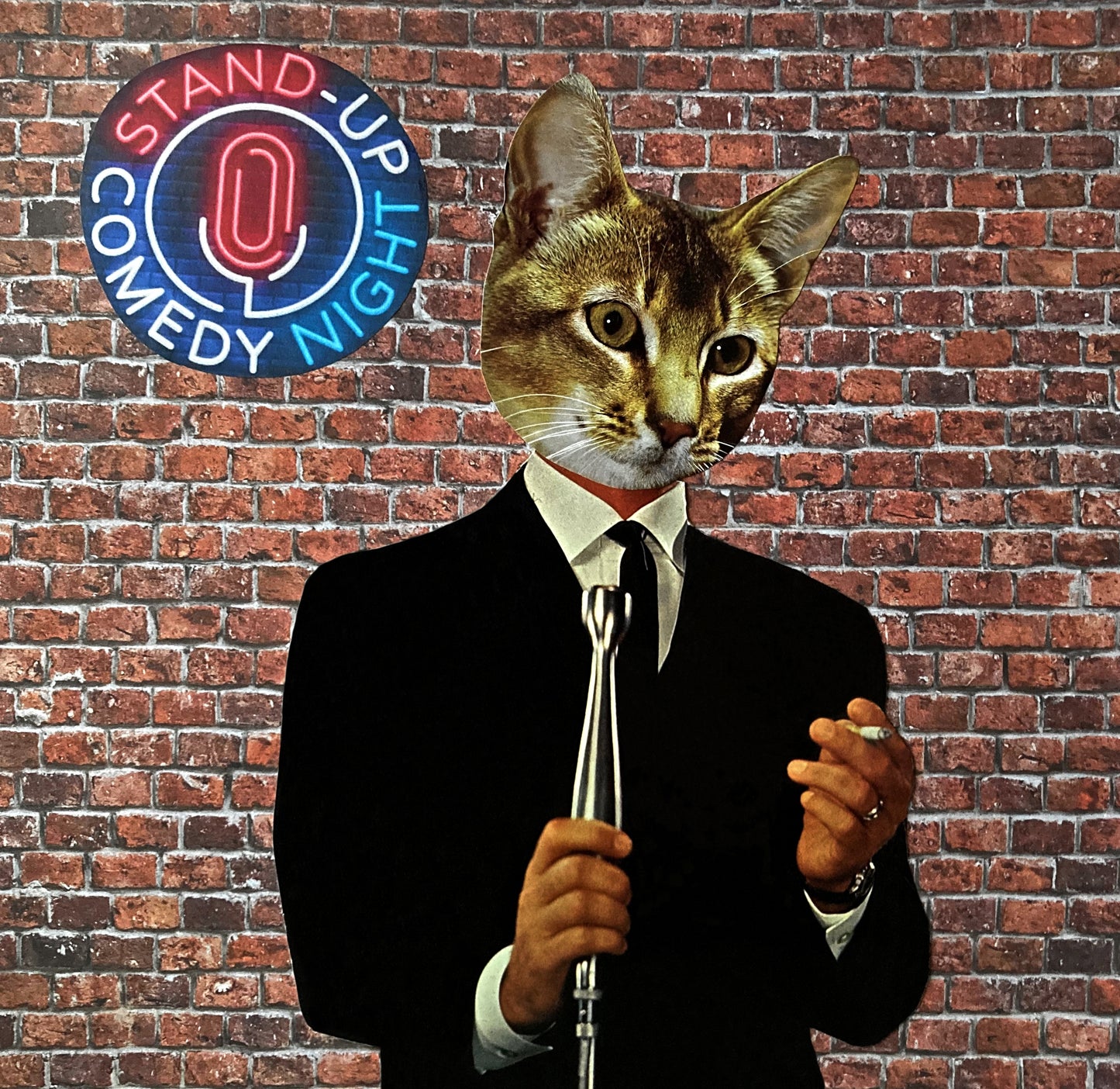 "Comedicat" Art Print