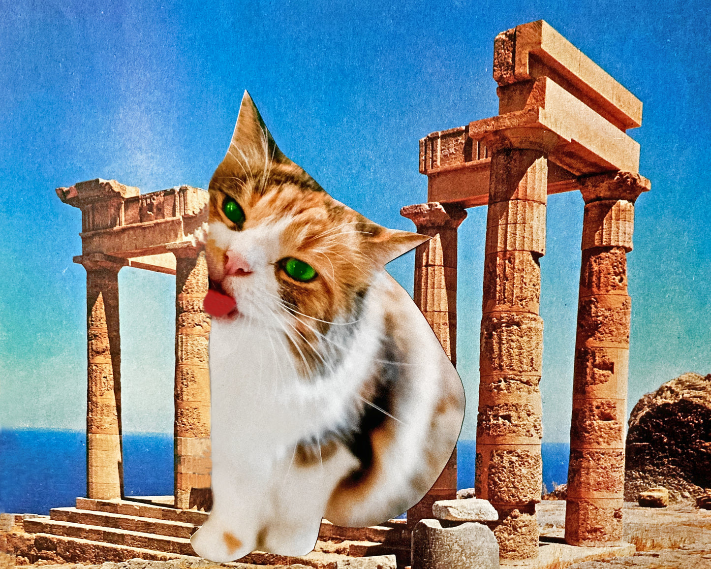 "Kitty, Don't Lick That" Art Print