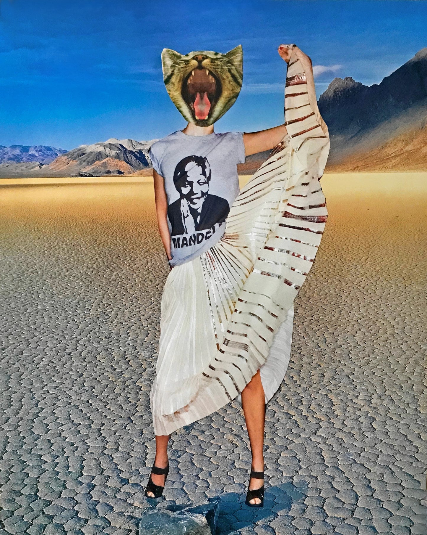 "Vote Hard!" Cat Art Print