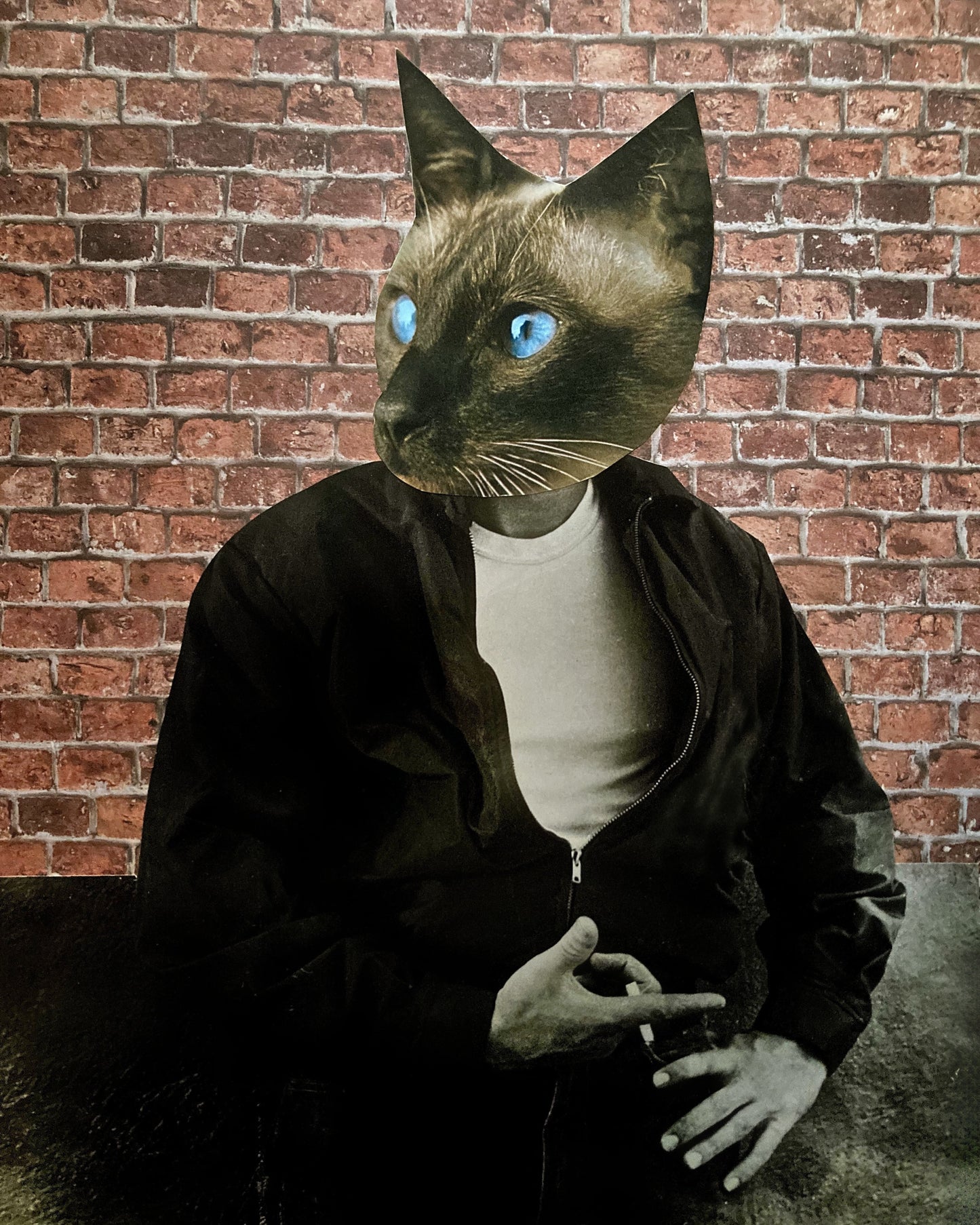 "Rebel Without a Cause" Art Print