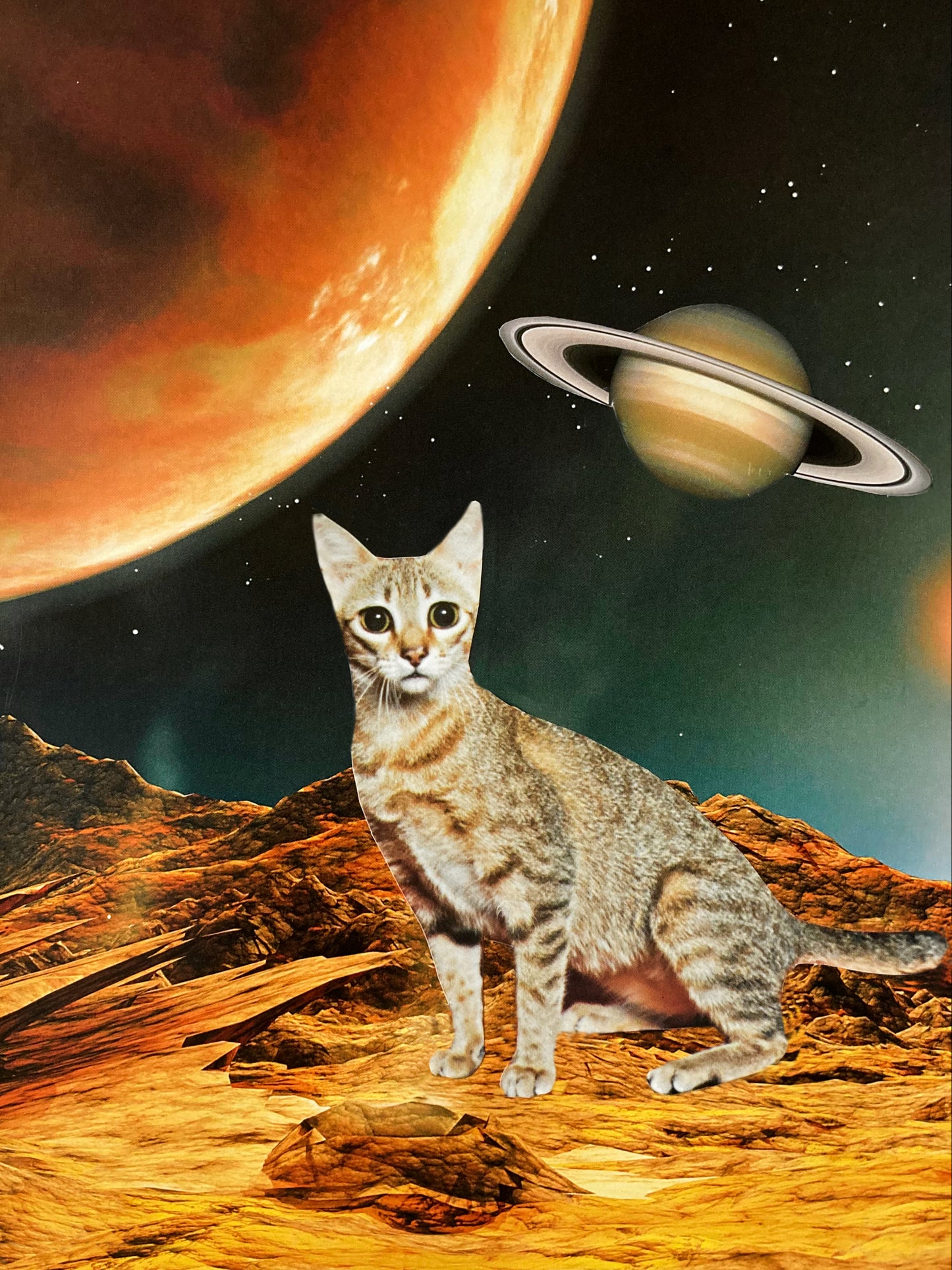 "Lost in Space" Art Print