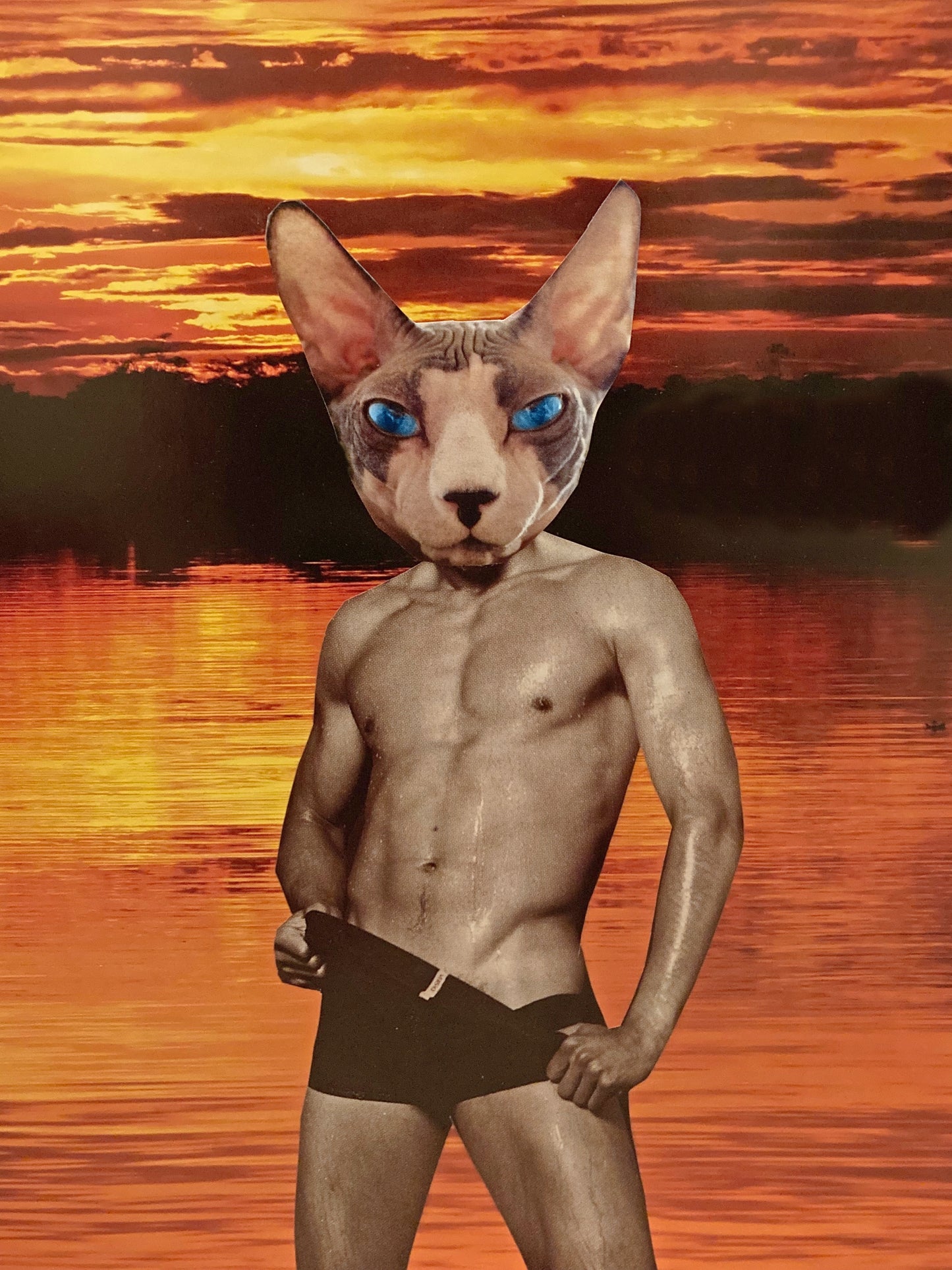 "Stefan the Sexy Sphynx" Art Print