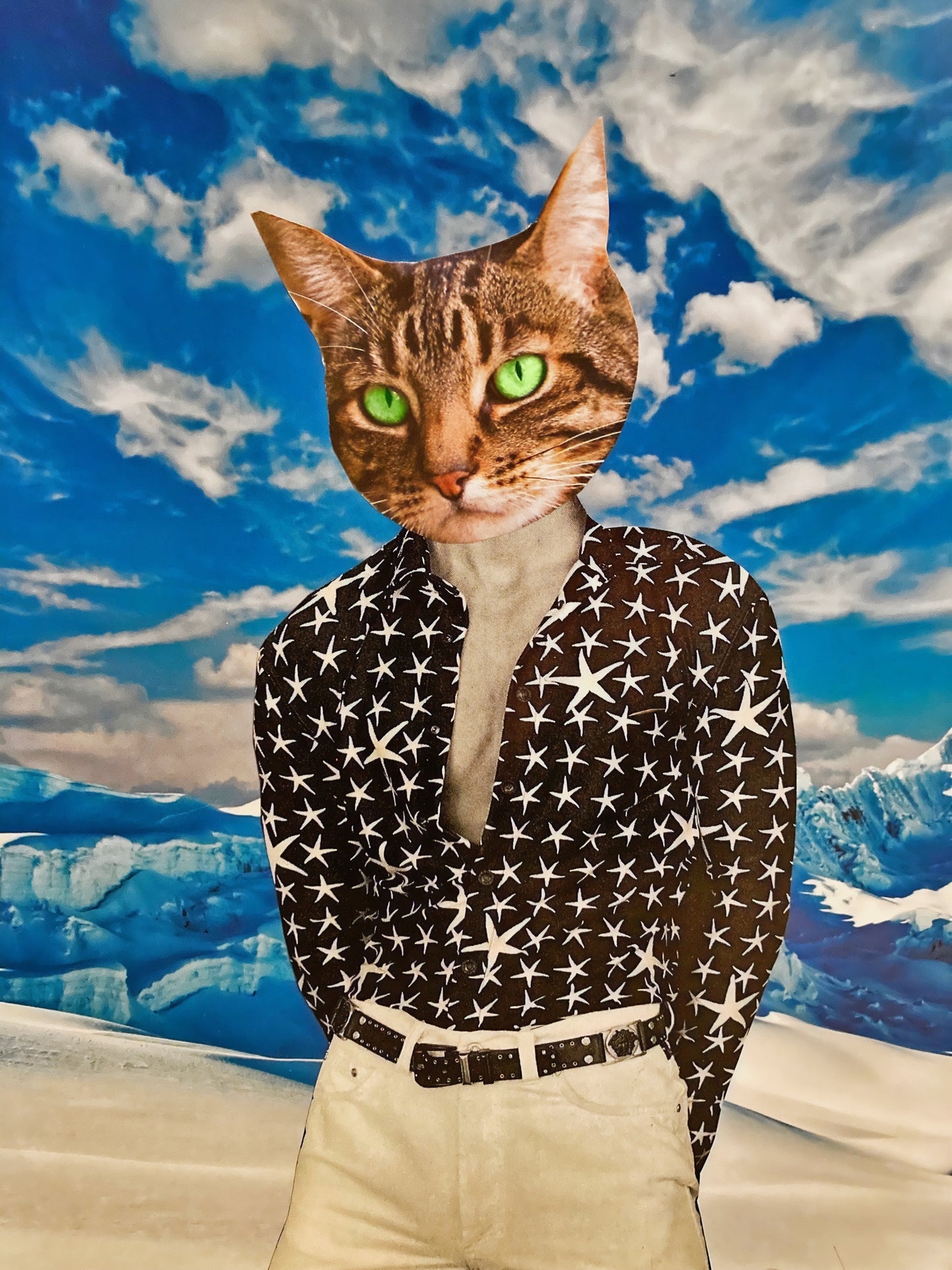 "Snow Stud" Art Print