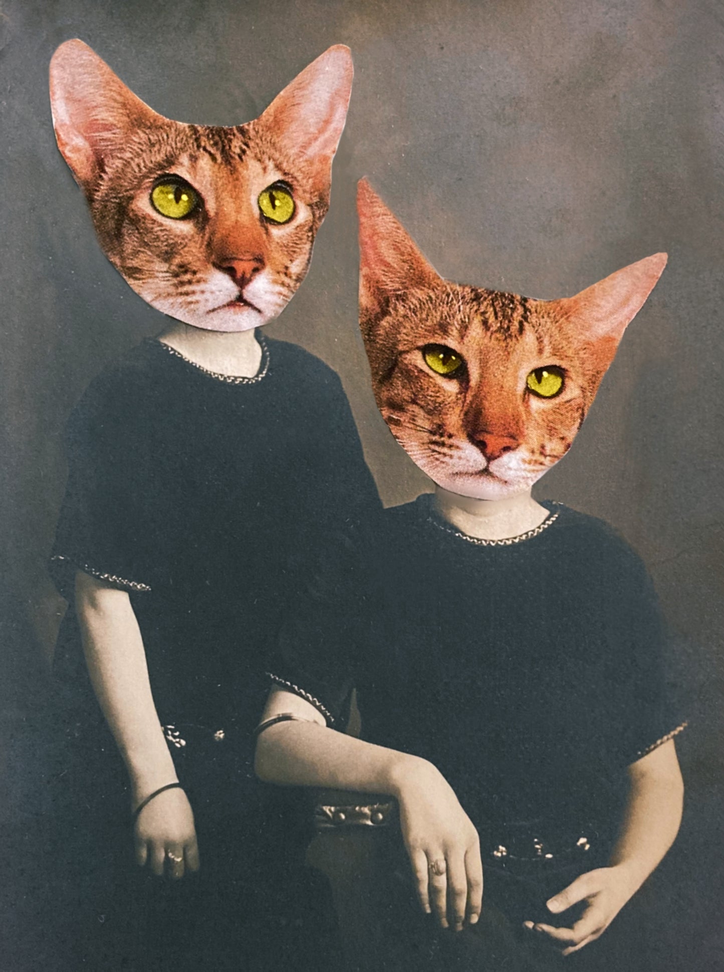 "The Twins" Art Print