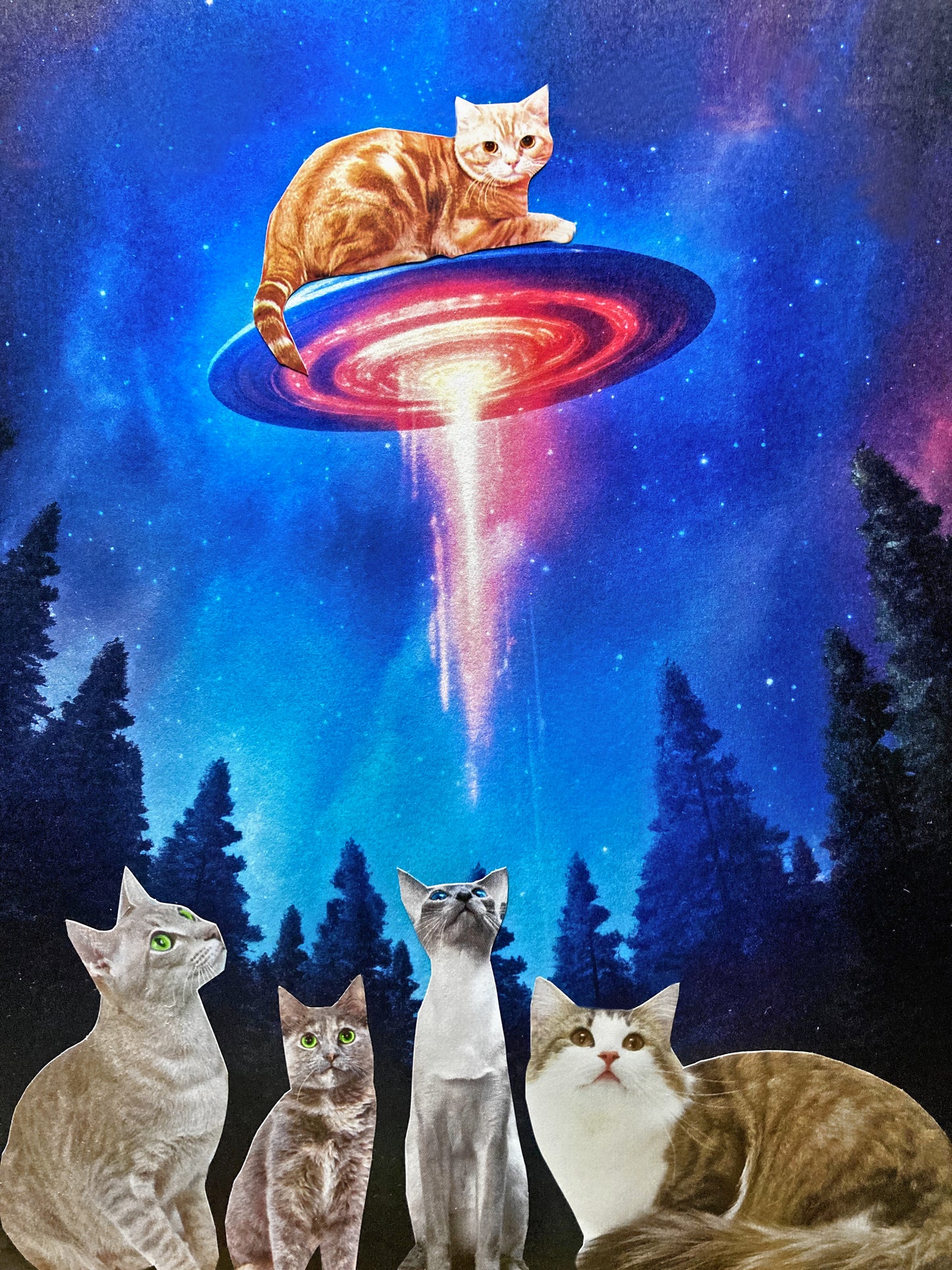 "George, Get Down From There!" Art Print