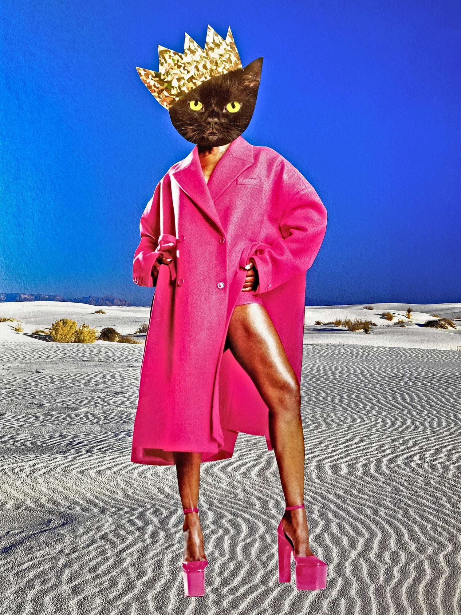 Fashionistas and Pretty Kitties