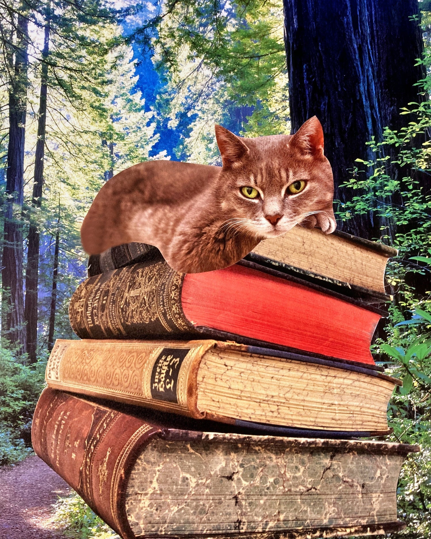 Literary Cats