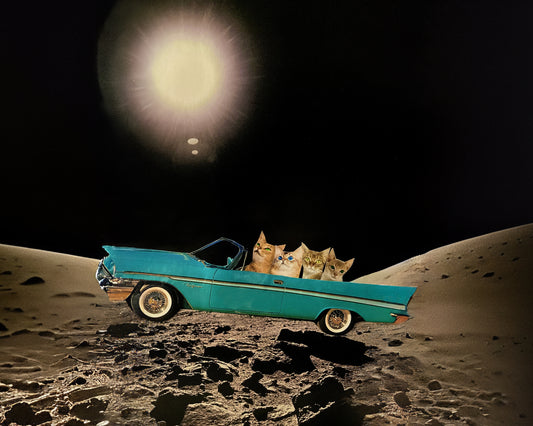 "Cats Cruising on the Moon" Art Print