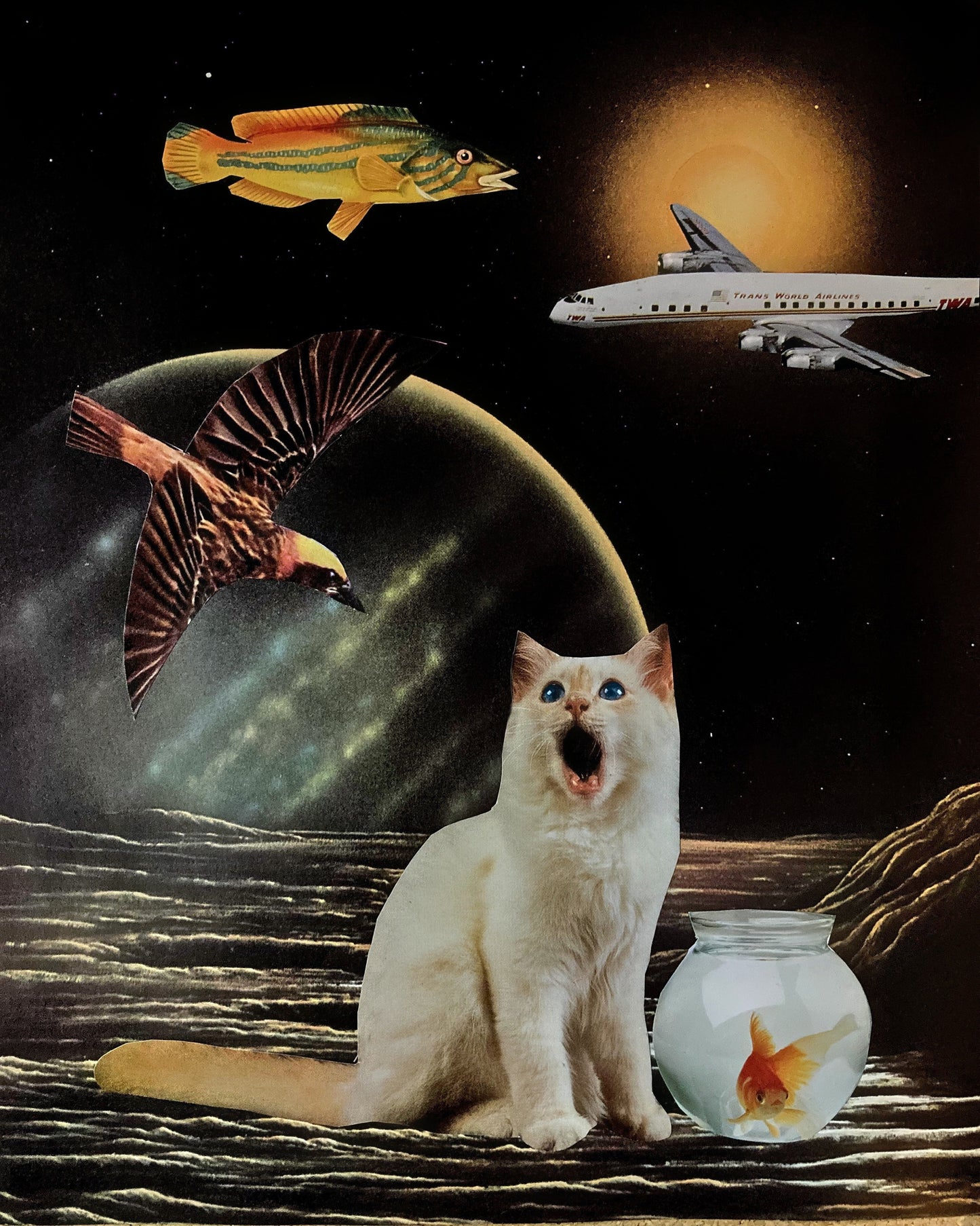 "A Strange New World" Art Print