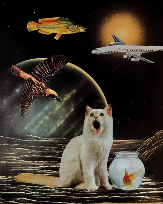 "A Strange New World" Art Print