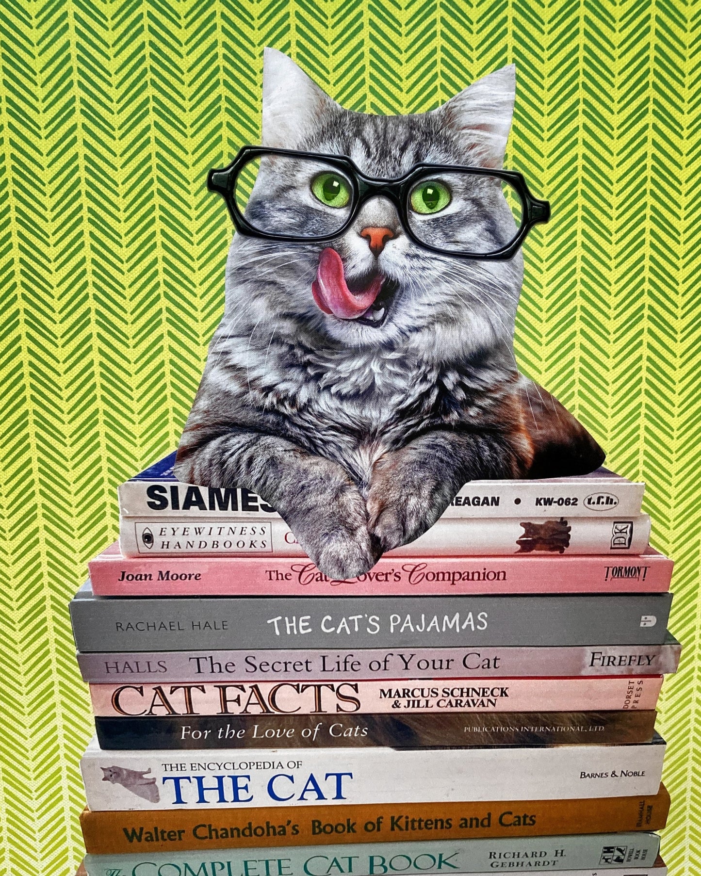 "Cat Sitting on Cat Books" Art Print
