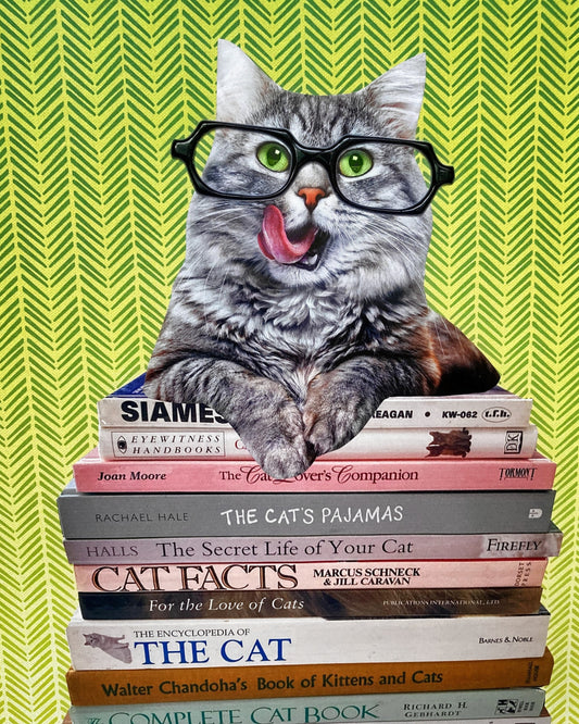 "Cat Sitting on Cat Books" Art Print