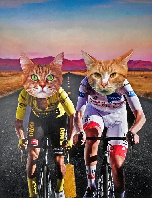 "Cycling Cats" Art Print