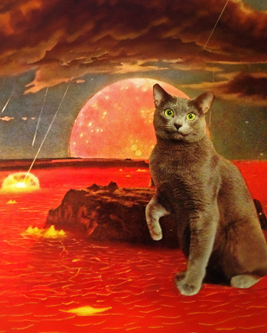 "Cat on Hot Lava" Art Print
