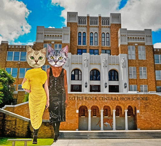 "Cats at Central High" Art Print