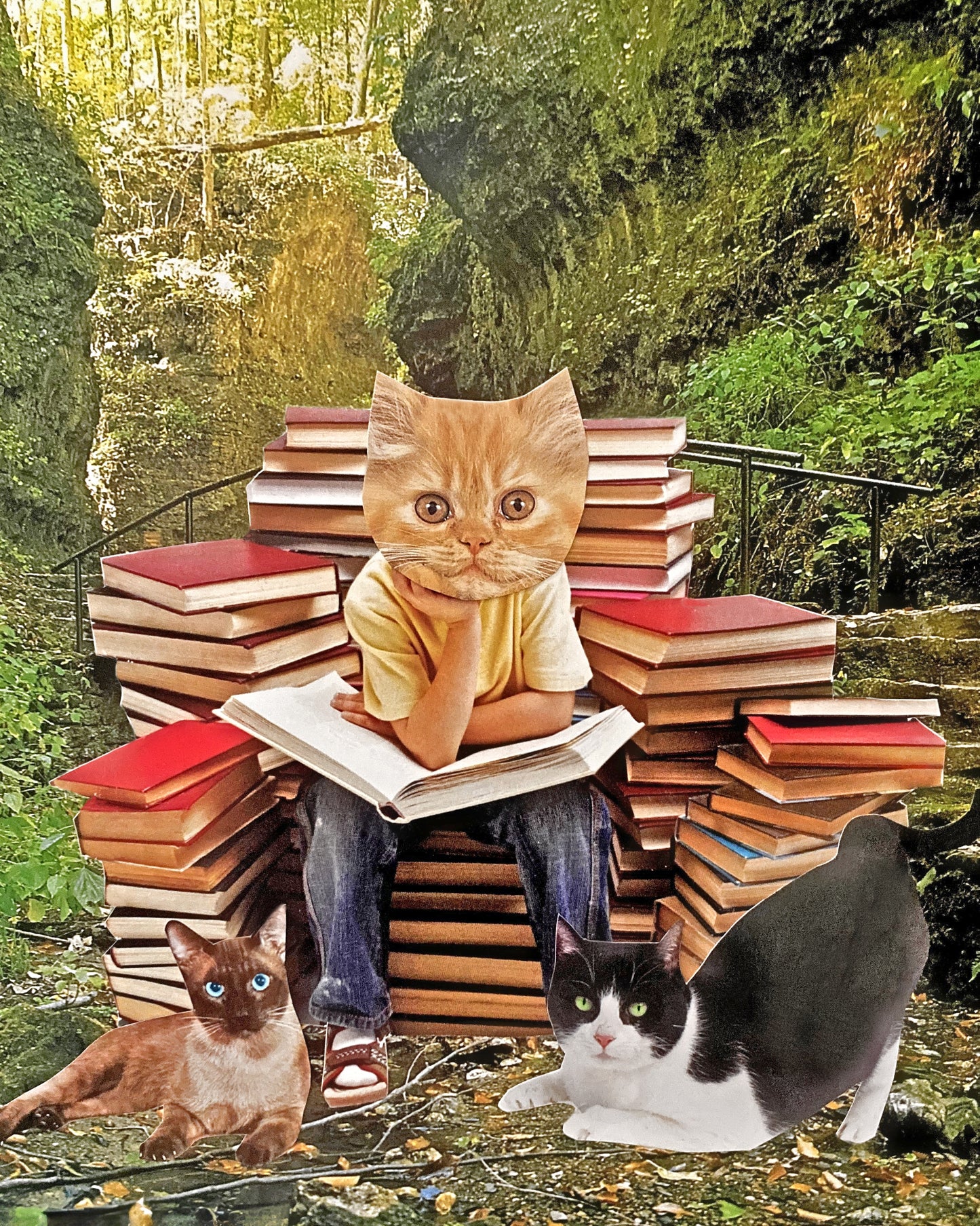 "Reading in the Forest" Art Print