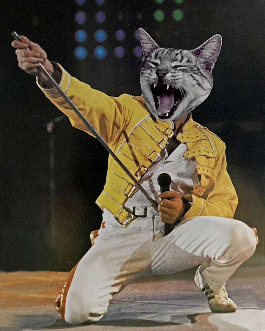"Freddy Purrcury" Art Print