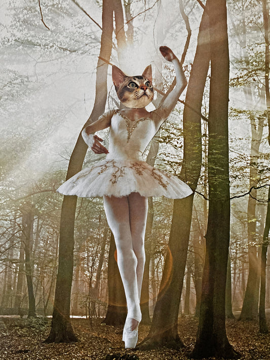 "Ballerina Kitty" Art Print