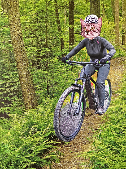 "Mountain Biking Cat" Art Print