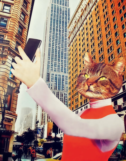 "Even Cats Take Selfies" Art Print