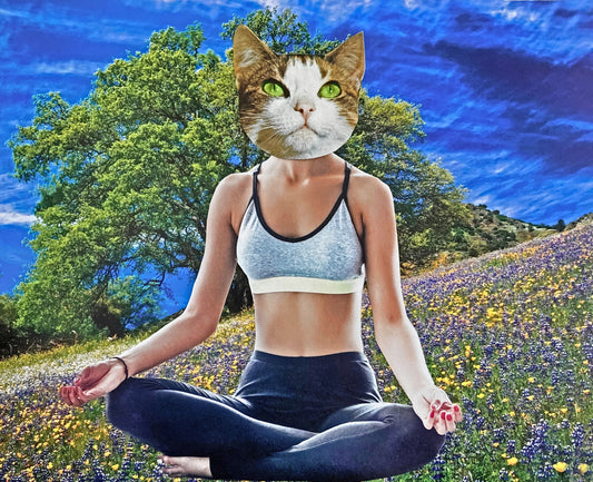 "Yoga in the Meadow" Art Print