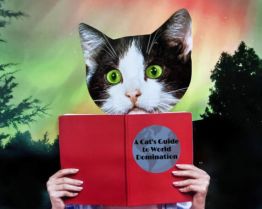 "A Cat's Guide to World Domination" Art Print